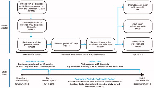 Figure 1. Patient selection and study design flowchart. MCC, Merkel cell carcinoma.