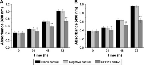 Figure 3 Effect of SPHK1 knockdown by siRNA on the proliferation of SH-SY5Y and SK-N-SH cells. Cell proliferation was evaluated by MTT, and the results of cell growth are expressed as absorbance at 490 nm.