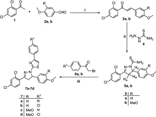 Scheme 1. Synthetic pathway for preparation of intermediates 5a, b and compounds 7a–7d; reagents and reaction conditions: (i) 10% NaOH, EtOH, RT, 4 h; (ii) NaOH, EtOH, reflux, 6 h; (iii) EtOH, reflux, 4 h.