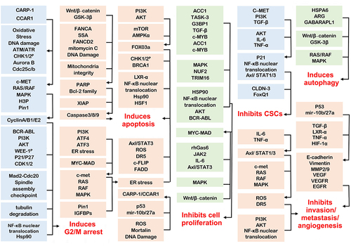 Figure 2 Mechanisms and signaling pathway of WA on cancer inhibition.