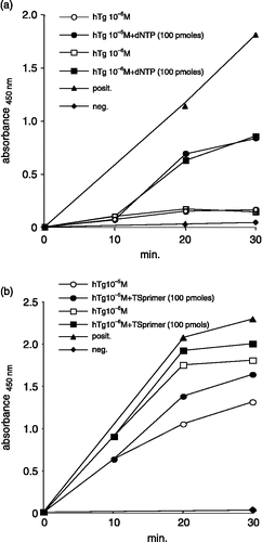 Figure 2.  Effect of intermediate addition of dNTP(a) or TS primer(b) on the telomerase assay. Each value is the mean of duplicate experiments. HTg, human thyrogrobulin; posit., positive control; neg., negative control.