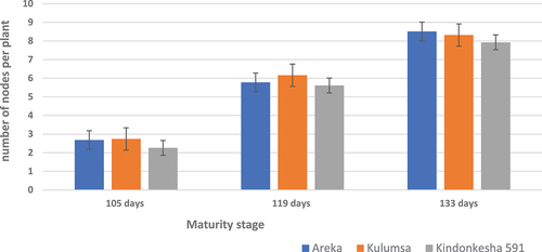 Figure 7. The number of nodes per plant of three desho varieties at three maturity stage.