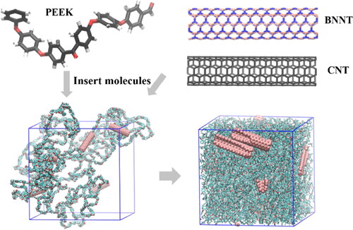 Figure 1. Molecular modelling of nanotube/PEEK nanocomposites.