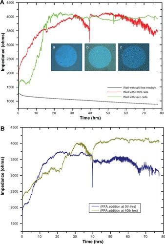 Figure 1 (A) Impedance measurement graph of cells grown on ECIS wells from 0 to 78 hrs. Inset shows the optical microscopic images of cells on circular detecting microelectrodes of ECIS wells, in which the images were taken (a) once after the cell addition, (b) after 10 hrs, and (c) after 15 hrs. (B) Impedance measurement of L929 cells with connexin hemichannel inhibitor (FFA).Abbreviations: ECIS, electric cell-substrate impedance-sensing system; FFA, flufenamic acid.