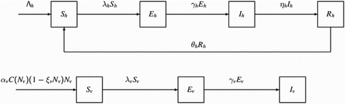 Figure 1. The compartmental model for malaria transmission.