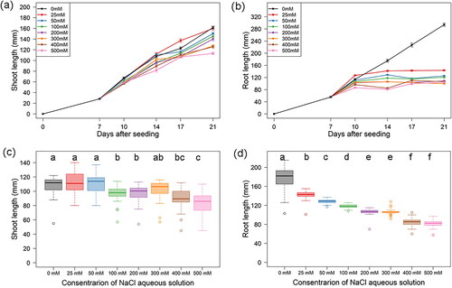 Figure 2. Inhibition of seedling growth by NaCl. Time-course plots showing SL (a) and RL (b) of CS under varying concentrations (0 to 300 mmol/L) of NaCl. Box plots showing SL (c) and RL (d) under varying concentrations of NaCl at the 7th day of NaCl imposition (14th day after seeding). Letters upon boxes show significance of differences between groups based on Steel–Dwass test (p < 0.05).