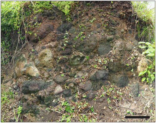 Figure 2. Conglomerate outcrop from which samples were collected for this study. Outcrop location is shown in inset of Figure 1. Lens cap used for scale in lower center of the photograph is 46 mm diameter.