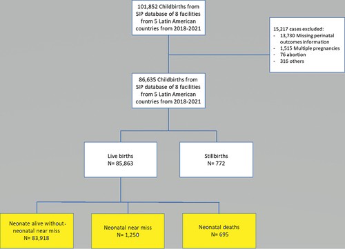 Figure 1. Flowchart of participants in the study according to perinatal outcomes (SIP-PAHO, 2018–2021).