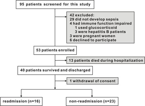 Figure 1 Flow chart of the participants.