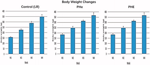 Figure 2. Body weight changes of the rats during the four-week Top-loading infusion period. The body weight is measured in gram (g). Each figure shows a group of rats injected with corresponding sample (control LR, PHe, PHE). The body weight in rats injected with control (LR) are 158 ± 3.7 g, 227 ± 7 g, 288 ± 17 g, 348 ± 20 g. The body weight in rats injected with bovine PHe are 183 ± 9 g, 248 ± 15 g, 313 ± 9 g, 366 ± 25 g. The body weight in rats injected with bovine PHE are 198 ± 4 g, 257 ± 5 g, 318 ± 9 g, 367 ± 9 g. There are no significant differences from the control group.