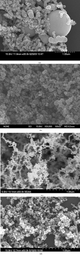 FIG. 2 SEM images of TiO2 particles collected in the reactor under different values of applied voltage. (a) No applied voltage. (b) 6.48 kV. (c) 8.58 kV. (d) 9.60 kV. The frequency was 60 Hz, the TTIP/H2O precursors molar ratio was 11.9 as TTIP bubbled at 150°C. The scale bar in the SEM photo is 1 μ m. (Continued)