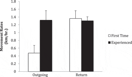 FIGURE 7. Mean (+SE) swimming speed of Nassau Grouper making their first migration or repeated migrations (i.e., experienced fish) to and from spawning sites during 2005–2007.