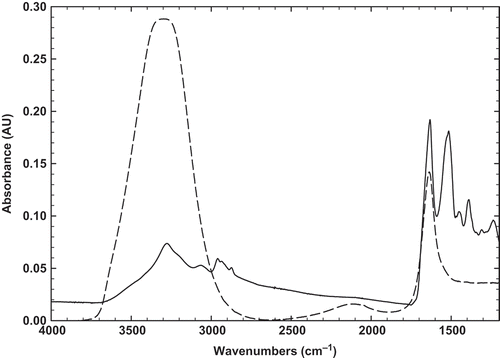 FIGURE 6 FTIR spectrum of BLG-BSG mixtures at ratio 10:1 (dash-line) and BLG powder (solid line).