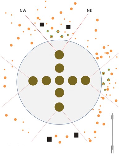 Figure 2. An example of the sampling design within a gap (d = 20 m). Circular regeneration plots (nine plots) are shown within the gap. Small orange dots outside the gap represent trees of the forest edge and the numbers in the tree symbols on the northern and eastern sides of the cap indicate the sample trees, which are the 5 nearest trees in that direction. The black rectangles represent trees that were used for the evaluation of cone production (Scots pine). In addition, there were four control plots per gap in the uncut forest matrix, located 20 m from the gap edge, towards each cardinal direction.
