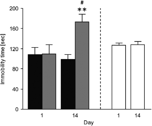 Figure 2.  Immobility time of subchronically stressed conditional NCAM-deficient mice (NCAMffcre) and their NCAMff littermates in two TSTs performed on the first (day 1) and last day (day 14) of the subchronic stress procedure. No difference in the time mice spent immobile was found between NCAMffcre and NCAMff mice on the TST performed on day 1 of the stress procedure. However, stressed NCAMffcre mice displayed a significantly longer immobility time during the TST on day 14 of the stress procedure when compared with NCAMff littermates. Additionally, although NCAMff littermates showed similar immobility times in both TST tests, subchronically stressed NCAMffcre mice displayed a significant increase in their immobility time on the TST on day 14, when compared with the TST on day 1. Non-stressed wild-type mice showed similar immobility times when tested in two TSTs occurring with a testing interval of 2 weeks. Results are mean ± SEM (N = 5–10/group; **p < 0.01, unpaired Student's t-test versus NCAMff of the same day; #p < 0.05, paired Student's t-test versus day 1 of the same genotype). Display full size NCAMff stressed, Display full size NCAMffcre stressed, and Display full size wild-type non-stressed.