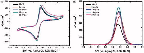 Figure 3. (a) Cyclic voltammograms and (b) differential pulse voltammograms for [Fe(CN)6]4-/3- process at poly(2-aminobenzylamine) film-modified screen-printed carbon electrodes with different numbers of electropolymerization cycles.