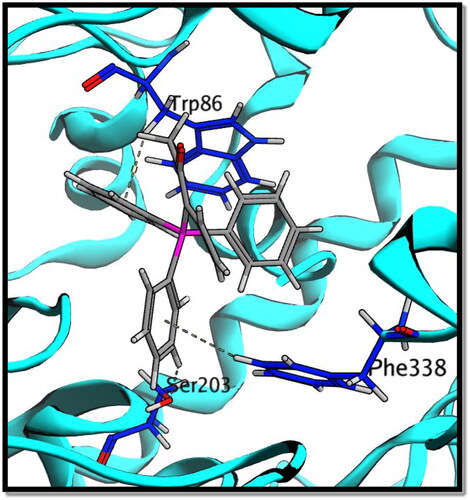 Figure 12. 3D interaction of compound 8c with AChE active site.