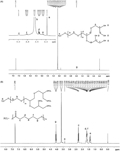 Figure 2. 1H-NMR spectrum of tetra-hydroxy MPEG (A) and LDMP (B).