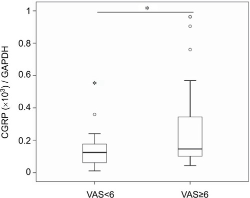 Figure 3 CGRP expression in OA patients with strong/severe (VAS≥6) and mild/moderate pain (VAS<6).