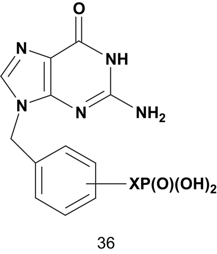 Scheme 23.  Multisubstrate adduct for human erythrocyte purine nucleoside phosphorylase (PNPase) (1).