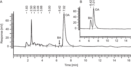 Figure 1.  HPLC analysis of the methanol extract of Viscum angulatum (A) and reference compounds (B), betulinic acid (BA) and oleanolic acid (OA).
