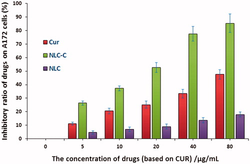 Figure 2. The cytotoxicity of Cur, NCL-Cur and NLC on A172 cells detected by MTT assay.