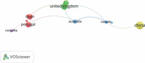 Figure 5. Network visualisation map of the co-authorship.