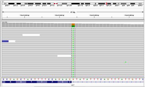 Figure 2 DNA sequencing (with white blood cells) showed a germline MET exon 14 skipping mutation.