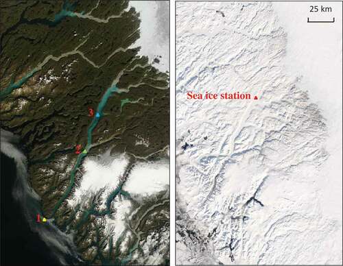 Figure 1. MODIS images of the study area in August 2007 and March 2008. The red triangle shows the ice station in March 2011, and summer ice-free stations are shown in yellow (station 1), green (station 2), and blue (station 3)