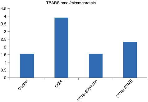 Fig. 1 Effects of TAME on TBARS in rat lungs.