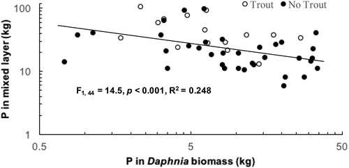 Figure 4. TP in mixed layer versus P in Daphnia biomass (plotted on log scale). White circles are from dates in premoratorium years and black circles are from dates in moratorium years. The simple linear regression of log10 mass of P in the mixed layer versus log10 mass of P in Daphnia biomass shows that mixed layer P mass decreased significantly as P in Daphnia biomass increased (F1, 44 = 14.5, p < 0.001, R2 = 0.248).