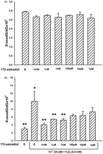 Figure 2. Oxidative damage to nuclear DNA in porcine ovary. DNA was incubated in the presence of 17β-estradiol [1 mM, 1 μM, 1 nM, 100 pM, 10 pM, 1 pM] alone (A) or in the presence of 17β-estradiol together with Fenton reaction substrates, i.e., FeSO4 [30 μM] plus H2O2 [0.5 mM] (B). Data are expressed as the ratio 8-oxodG/dG × 105. Data are from three independent experiments. Values are expressed as mean ± SE (error bars). No significant differences were found. *p<0.05 vs. Control (in the absence of both Fe2++H2O2 and 17β-estradiol); **p<0.05 vs. Fe2++H2O2 (in the absence of 17β-estradiol).