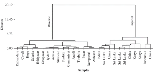 Figure 4. Dendrogram of cluster analysis.
