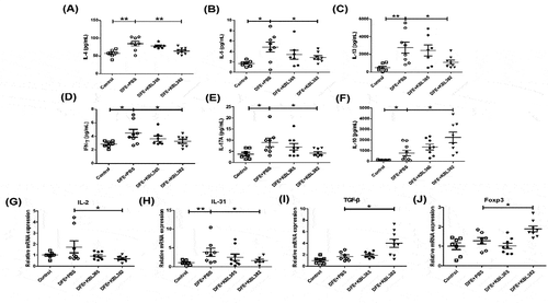 Figure 5. Effects of oral administration of L. rhamnosus KBL365 or L. paracasei KBL382 on Th1, Th2, Th17, and anti-inflammatory cytokine production in the skin of AD mice. Protein levels of the T helper (Th)2-type cytokines (A) interleukin (IL)-4, (B) IL-5, and (C) IL-13, Th1-type cytokine (D) IFN-γ, Th17-type cytokine (E) IL-17A, and anti-inflammatory cytokine (F) IL-10 were measured using a multiplex magnetic Luminex kit. Total RNA was extracted from skin and mRNA expression levels of cytokine genes related to Th1-type (G) IL-2, Th2-type (H) IL-31, anti-inflammatory cytokine (I) TGF-β and regulatory T cell (Treg) marker (J) Foxp3 were evaluated using real-time PCR. Statistical analyses were performed using the Mann–Whitney U-test for comparison with DFE+PBS mice (N= 7–9 mice per group). Error bars represent SEM. * P< .05; ** P< .01.