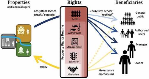 Figure 1. Conceptual framework demonstrating how various property rights influence the flow and management of ecosystem services. Right bundles combine to form property right regimes. The flow of ecosystem service from a property to beneficiaries is determined by the set of rights they hold (blue arrows). Populations enact governance mechanisms to set property rights via policy (e.g. zoning) that determine the rights and duties of property owners or managers (yellow arrows). This paper primarily focuses on how rights affect different populations’ ability to obtain ecosystem services groups (blue arrows).