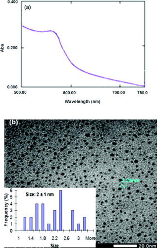 Figure 8. Characteristics of the CuNPs with PVA capping polymer: UV–Vis absorbance of the CuNPs with a broadened region of the surface plasmon (a) and TEM image including size distribution (b).