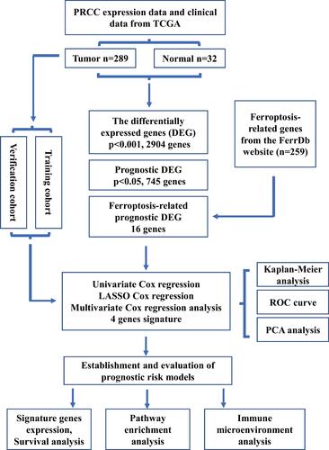 Figure 1 Overview of study design.