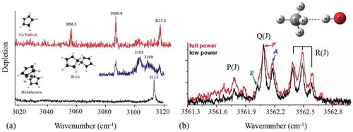 Figure 8. Shown in (a) are the infrared spectra in the range of 3020–3120 cm−1 of a single cyclopentadienyl radical (red trace), a dimer of cyclopentadienyl radicals (blue trace), and the precursor of cyclopentadiene (nickelocene, black trace). The radical spectra were recorded at an oven temperature of 900°C using mass channel m/z = 39, whereas the precursor spectrum was recorded at room temperature and m/z ≥ 8. Adapted from Ref. [Citation153]. Shown in (b) is the depletion spectrum of OH-CH4 complex measured at m/z = 19. Adapted from Ref. [Citation158].