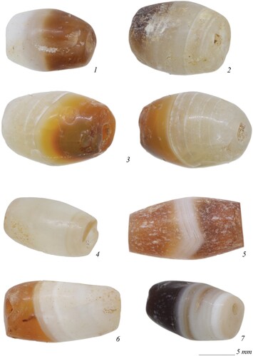 Figure 4. Examples of onyx beads from Tomb N1-3: 1–2) beads BE21-144-014-027_F474-480; 3) bead BE21-144-014-028_F521; 4–5) beads BE21-144-014-028_F537; 6) bead BE21-144-014-033_F592-594; 7) bead BE21-144-014-033_F633-635 (photographs by J. Then-Obłuska and the Berenike Project).