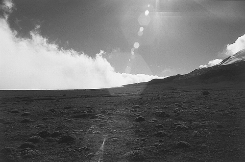 FIGURE 2. Patchy vegetation on the western base of Volcán Antisana resembling the Arenal of Chimborazo (4200 m). The clouds coming from the east flow around the mountain and leave its western side cloudless.