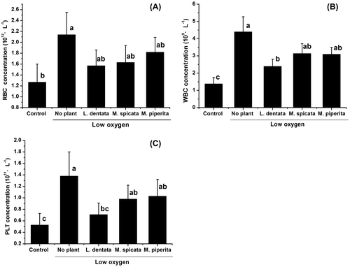 Fig. 1. The effect of aromatic volatiles on RBC (A) WBC (B) and PLT (C) counts in mice subjected to low oxygen.