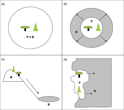 Figure 1. Directional flow of ecosystem services. (a) ‘In situ’ services are provided in the same location as the realised benefits; (b) ‘Omni-directional’ services are provided in one location, but benefit the surrounding landscape without directional bias; (c) ‘Directional’ services provide benefits at a downstream location; (d) ‘Directional’ services provide benefits at an inland location. Notes: Directional flow from point of service provision (P) and area where benefits are realised (B). Source: Adapted from Fisher et al. (Citation2009).