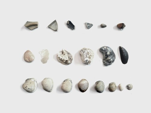 Figure 2: Shells and sea leftovers that were collected in the hinterland along the old coastline in Malacca. Photo: Laura Cipriani 2017.