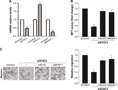Figure 6 STAT3 induced colorectal carcinoma progression via an miR-572-MOAP-1 pathway.