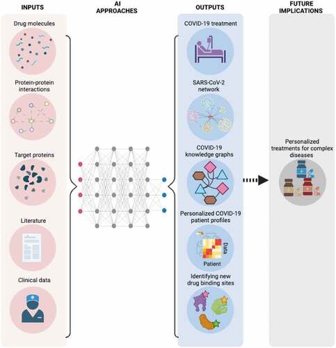 Figure 1. A summary of common inputs of AI approaches and potential outputs to target COVID-19. These outputs are expected to help in the development of personalized treatments for complex diseases in the future. (This figure is created with BioRender.).