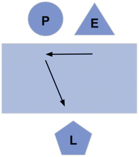 Figure 2. Experimental setup. “P” represents a participant; “E” represents an examiner; and “L” represents a listener who cannot see the computer screen. The arrows indicate the direction of conversation