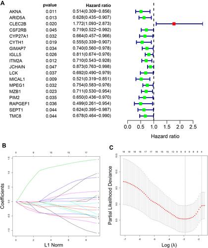 Figure 5 Establishment of a five-gene prognostic signature in the training set. (A) Forest plot for visualizing the HRs of 18 genes with statistical significance after univariate COX analysis (p<0.05). Green: protective association; Red: risk factors; (B) LASSO coefficient profiles of the 18 genes; (C) the partial likelihood deviance plot showed the minimum value corresponds to the covariate used for multivariate Cox analysis.