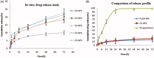 Figure 3. (A) In vitro release study of different NPs. (B) Comparison of drug release profile of CS-coated NPs, PLGA NPs, and drug solution.