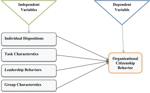 Figure 8. Antecedents of organizational citizenship behavior. Source: Developed by the researchers (2022).