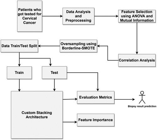 Figure 10. Various steps followed to predict biopsy results using machine learning.